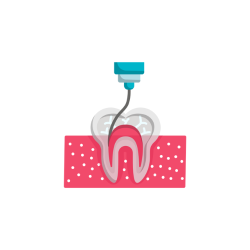 Dentist in Bowie Endodontics Icon